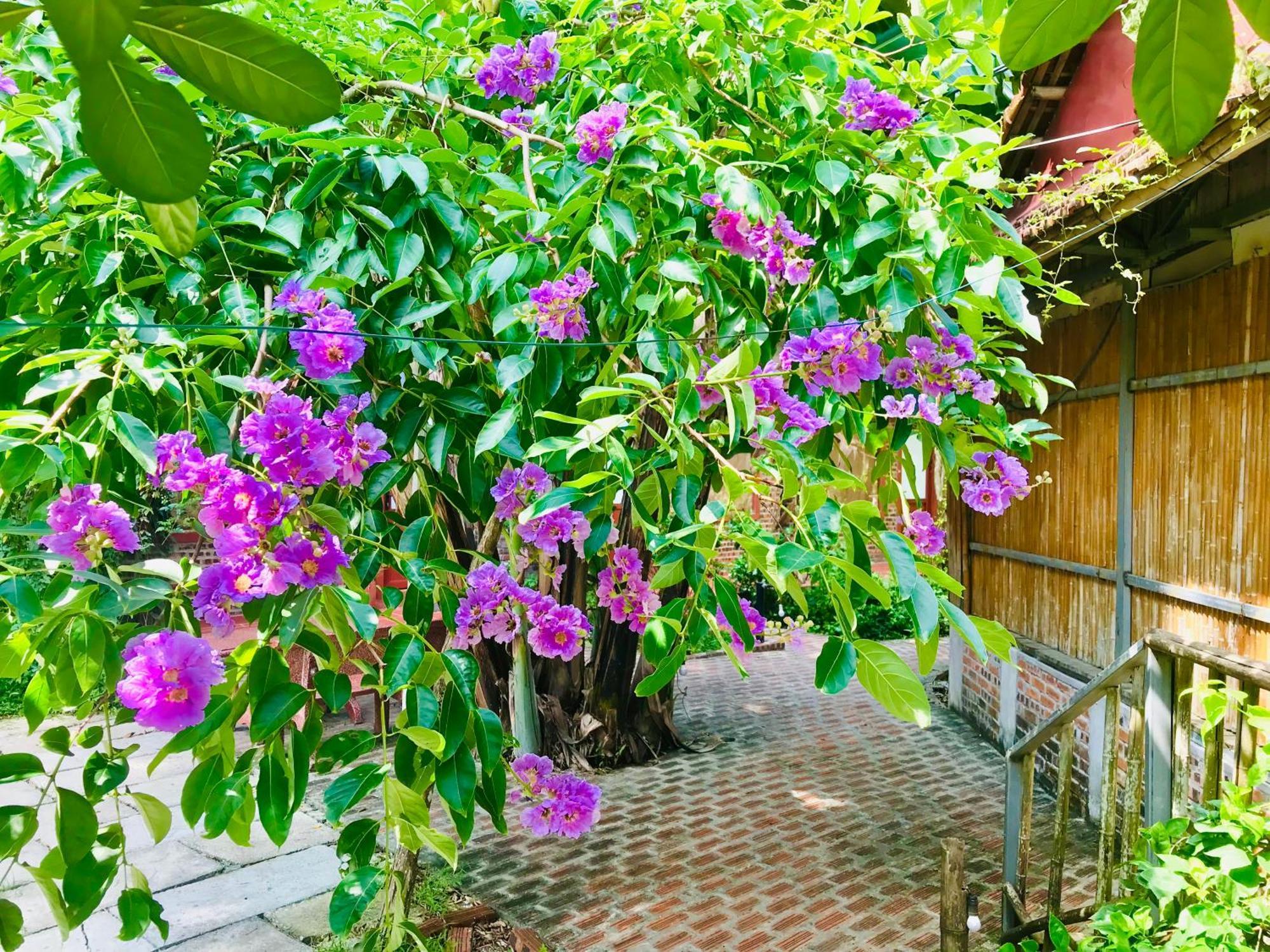 Lake Retreat Ninh Binh Luaran gambar