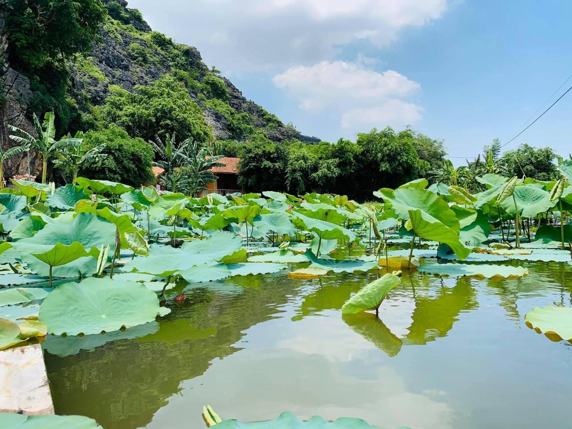 Lake Retreat Ninh Binh Luaran gambar