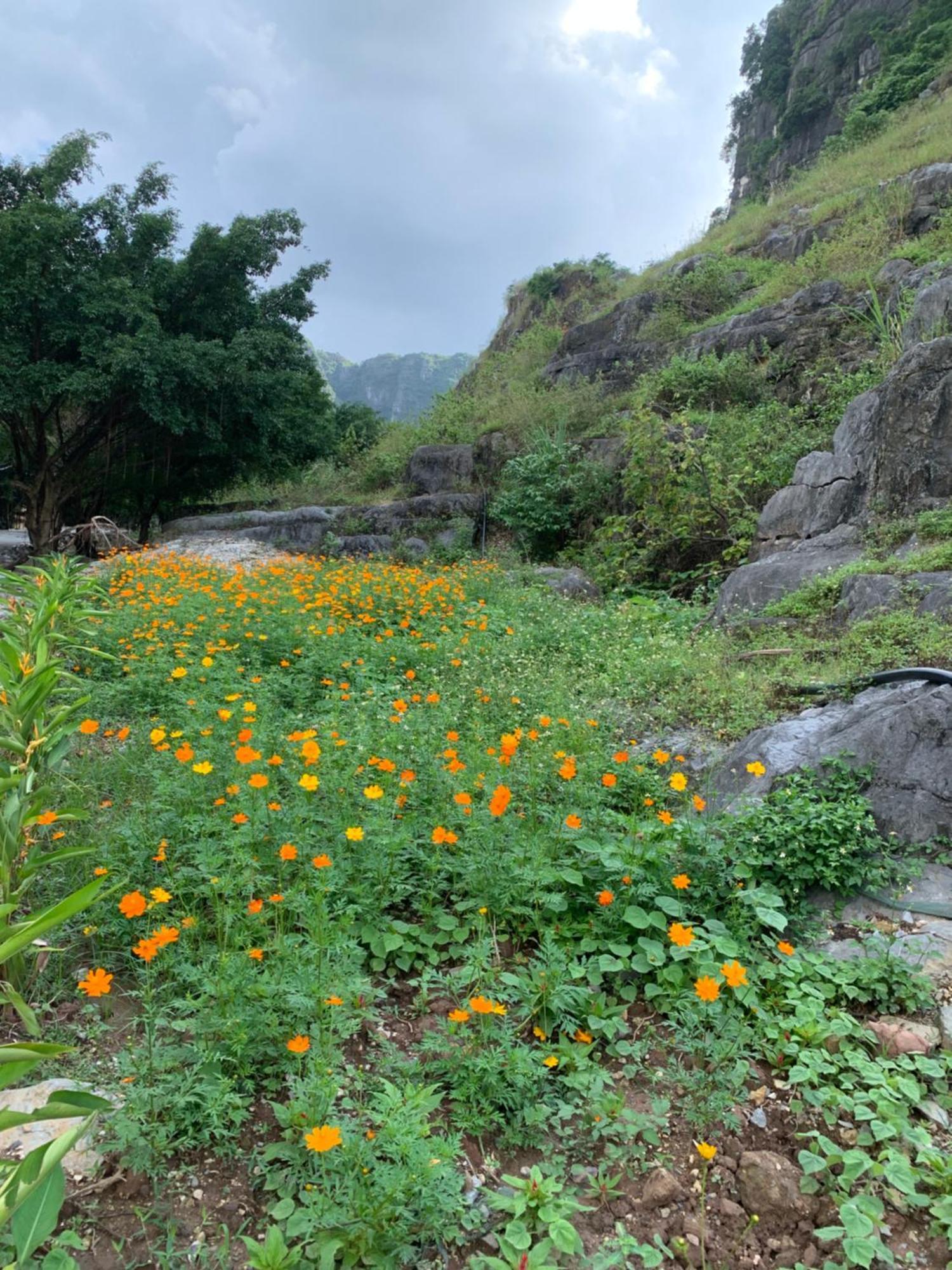 Lake Retreat Ninh Binh Luaran gambar