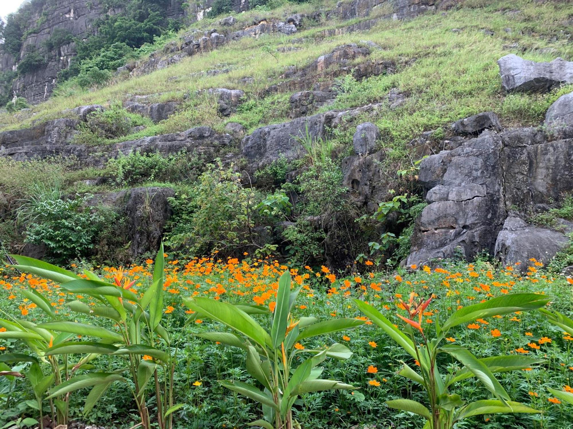 Lake Retreat Ninh Binh Luaran gambar